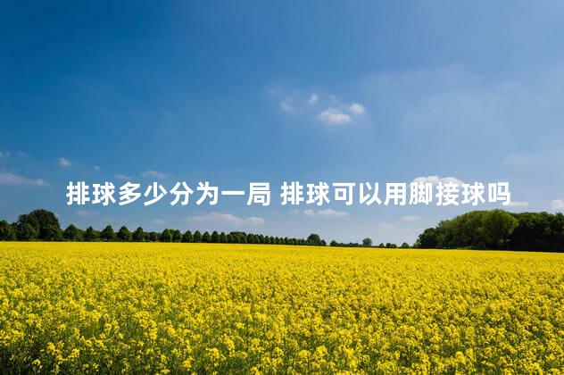 排球多少分为一局 排球可以用脚接球吗